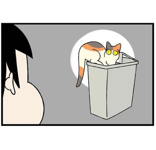 猫 振り向く 漫画