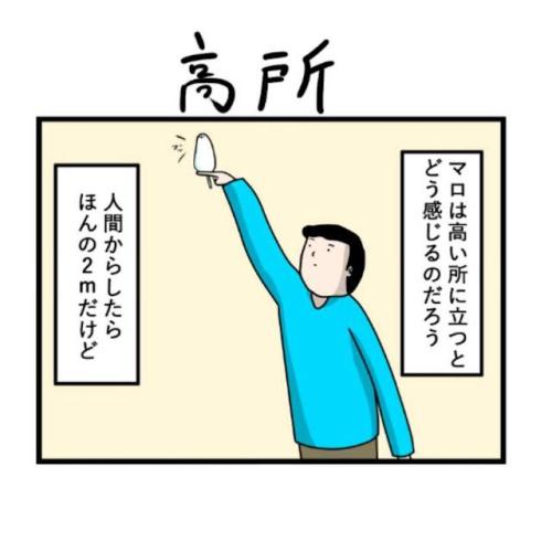 インコ 高所 漫画