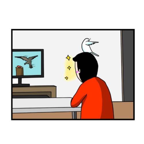 インコ 鷹匠 漫画