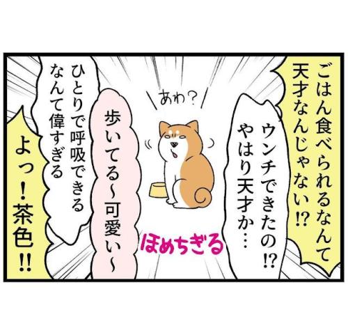 犬 褒められる 漫画