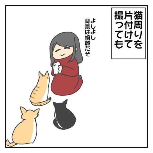 猫 片付け 漫画