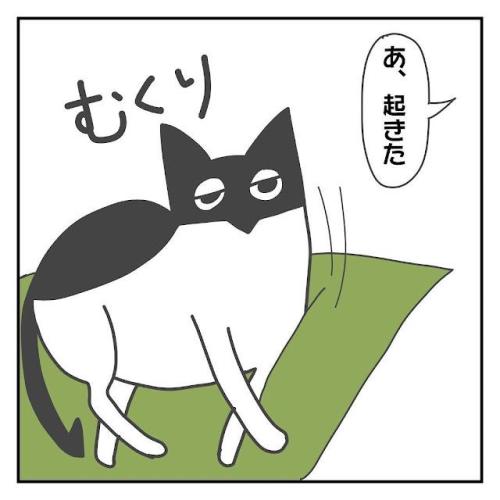 猫 起きる 漫画