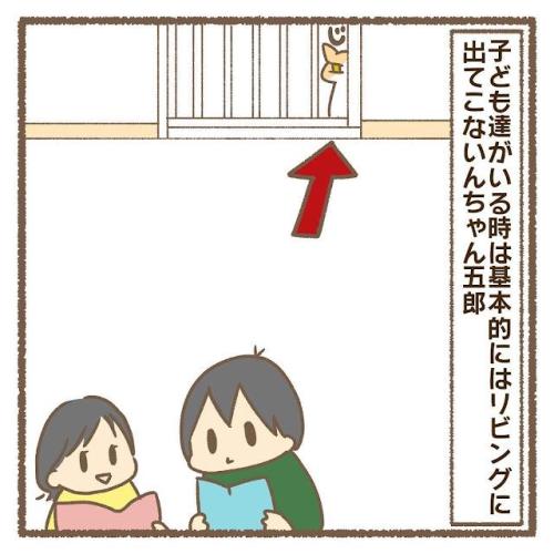 猫 来ない 漫画