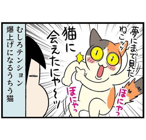 猫　テンション　漫画