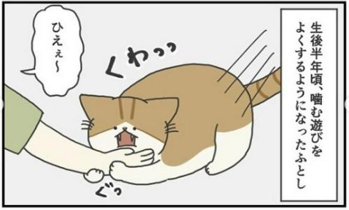 猫　噛む　漫画
