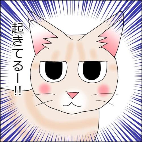 猫　起きる　漫画