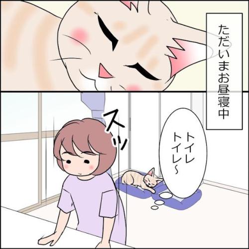 猫　昼寝　漫画