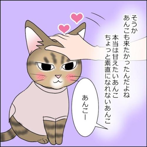 猫　ご機嫌　漫画