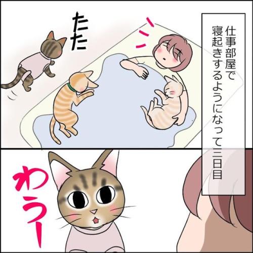 猫　鳴く　漫画