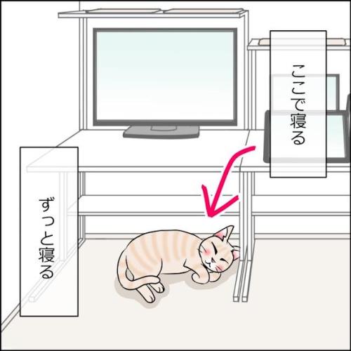 猫　ごろ寝　漫画