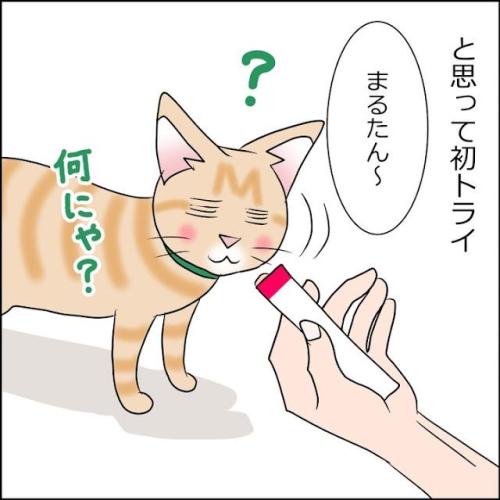 猫　おやつ　漫画
