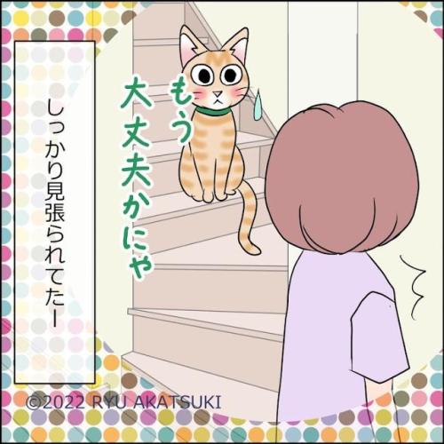 猫　座る　漫画