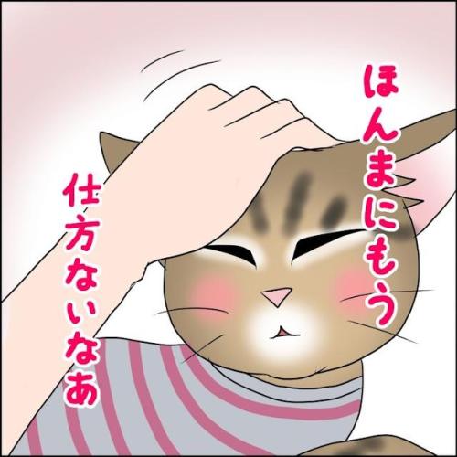 猫　ご機嫌　漫画