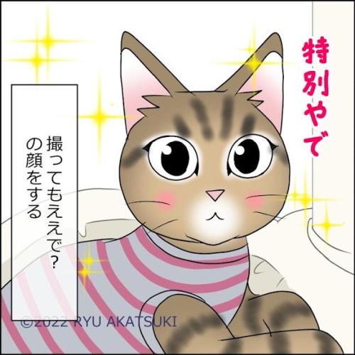猫　キメ顔　漫画