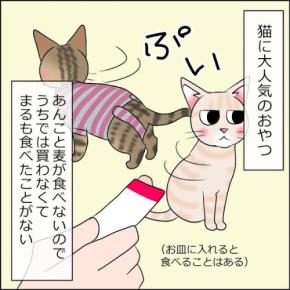 【漫画】第7話：食べる？食べない？“初めてのおやつ”にトライしてみるニャンコ【まるくん】