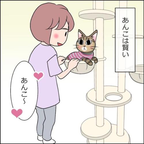 猫　キャットタワー　漫画