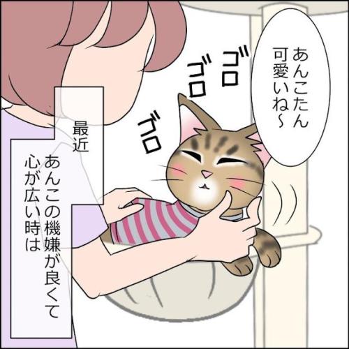 猫　ご機嫌　漫画
