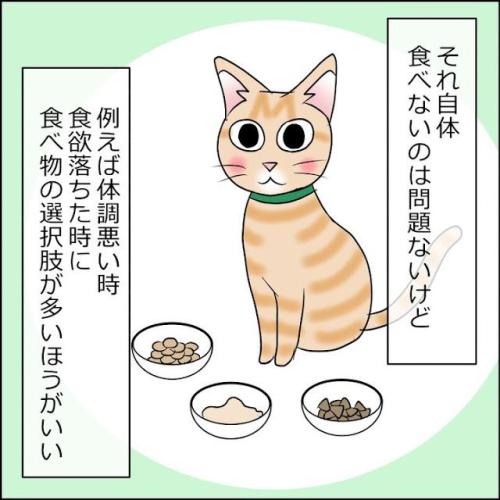 猫　ごはん　漫画