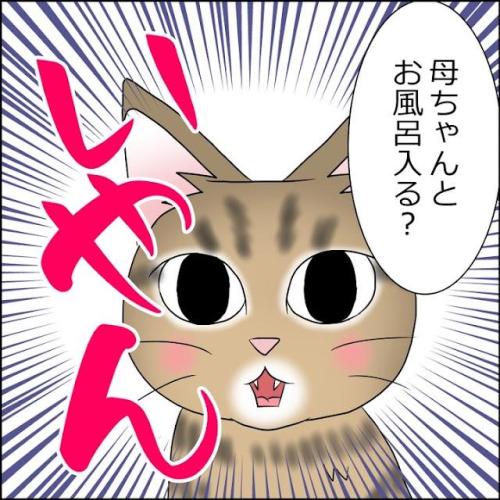 猫 拒否 漫画