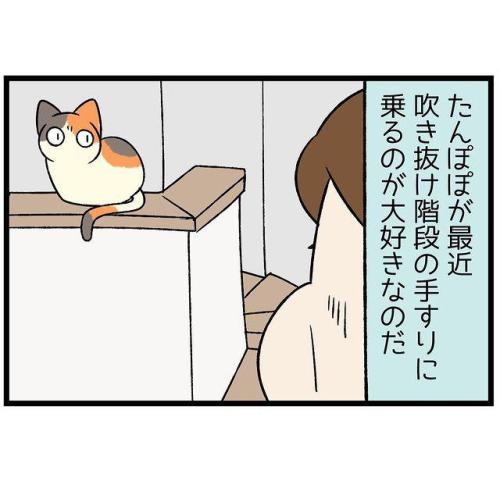 猫 手すり 漫画