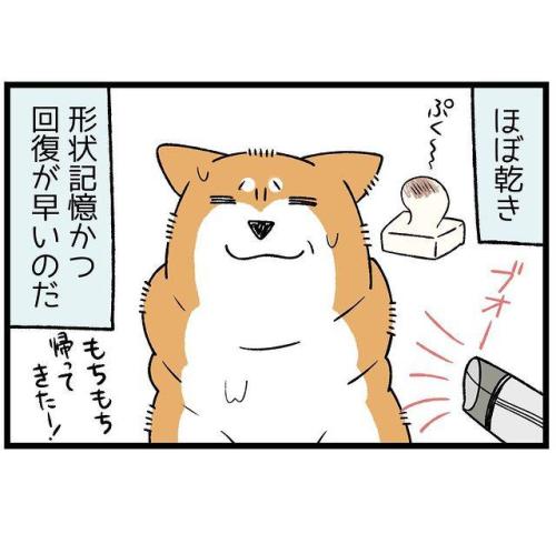 犬 モフモフ 漫画