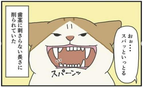 猫 歯茎 漫画