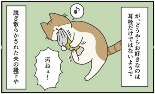 猫 靴下 漫画