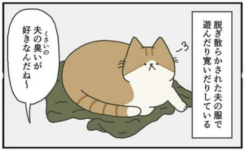 猫 服 漫画