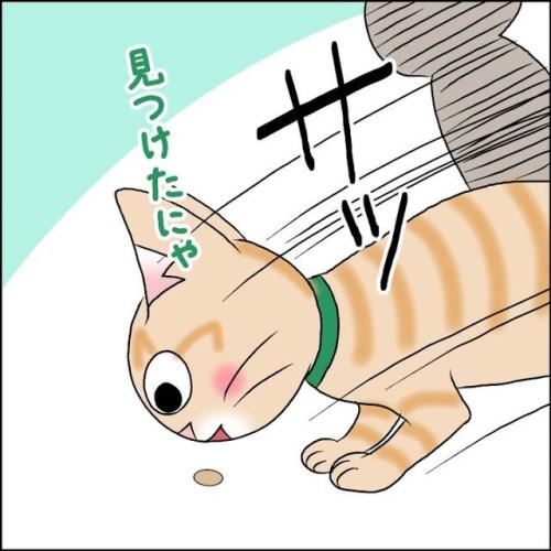 猫　見つける　漫画