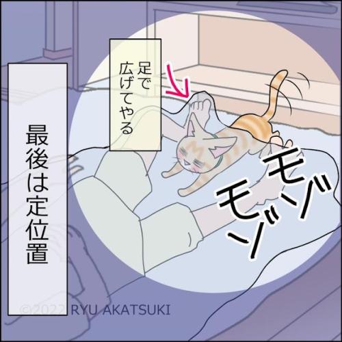 猫 定位置 漫画