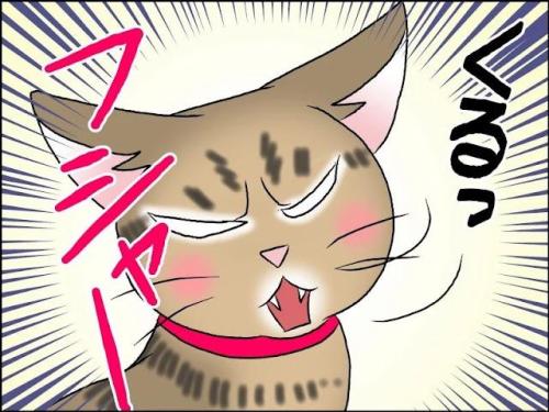 猫 捨て台詞 漫画