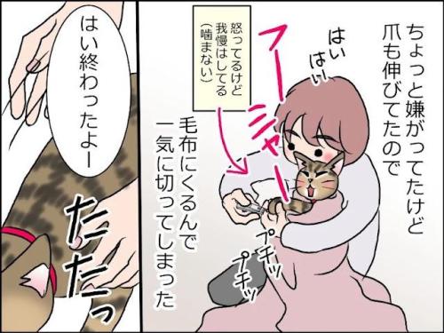 猫 嫌がる 漫画