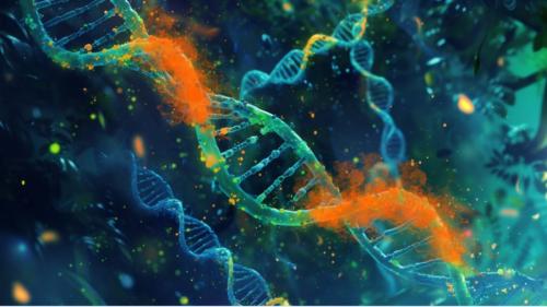 火の遺伝子（火傷用）は進化医学においても重要