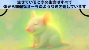 あらゆる生命は生きているうちは光を発しているが、死ぬと消えてしまう