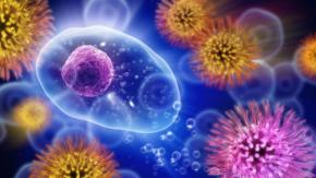 生命と非生命の境界線をまたぐ謎の古細菌を発見