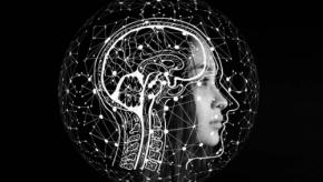 薬物に手を出す子ども実は最初から「脳」が違っていたと判明
