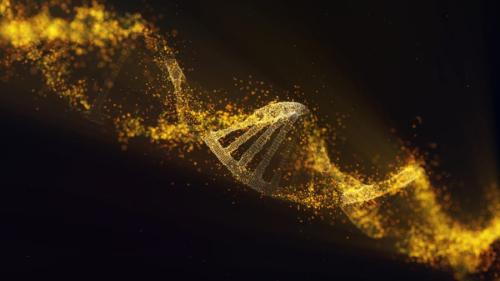 古代ウイルスが私たちの健康を左右する