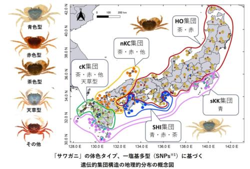 新たに判明した5集団