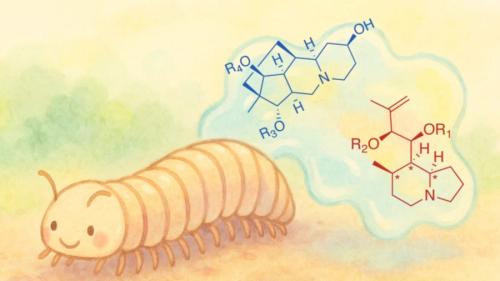 毒と薬の境界線—ヤスデ毒から新薬開発が可能な理由