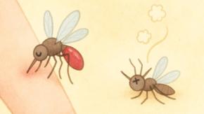 「人間の血を蚊の毒に変える薬」の大規模試験に成功