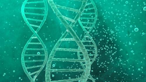 【まとめ】人工的に設計された生命「Syn57」は世界をどう変えるか？
