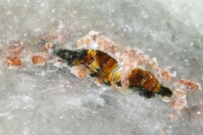 新種の鉱物「アマテラス」を発見！ 日本の国石「ヒスイ」から見つかる