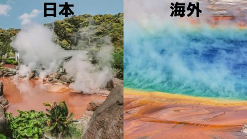 日本だからこそできた研究