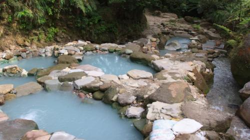 「湯の花」が生態系を保存していた