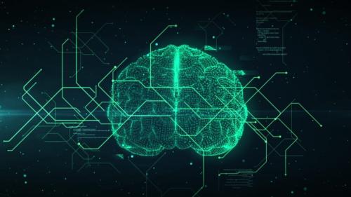 慢性痛に朗報「あなた専用の治療法」が見える時代へ