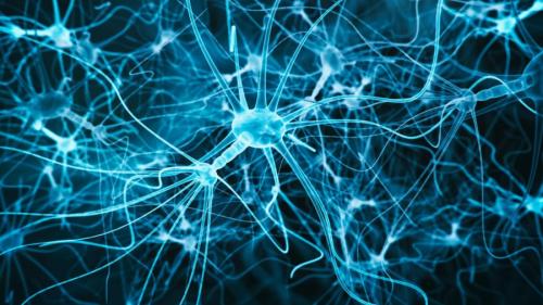 記憶の固定化と想起は別の仕事