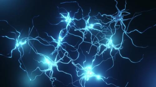 “寝て覚える”の中身は何か