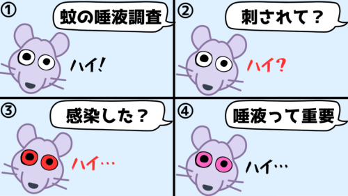 蚊の唾液はウイルスの感染力を上げる成分が入っている