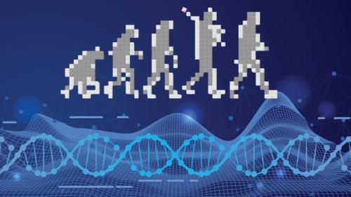 遺伝子スイッチが起こした大革命──私たちの骨盤進化