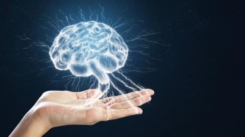 「よく寝てもダメ」な理由は脳のクセにあった